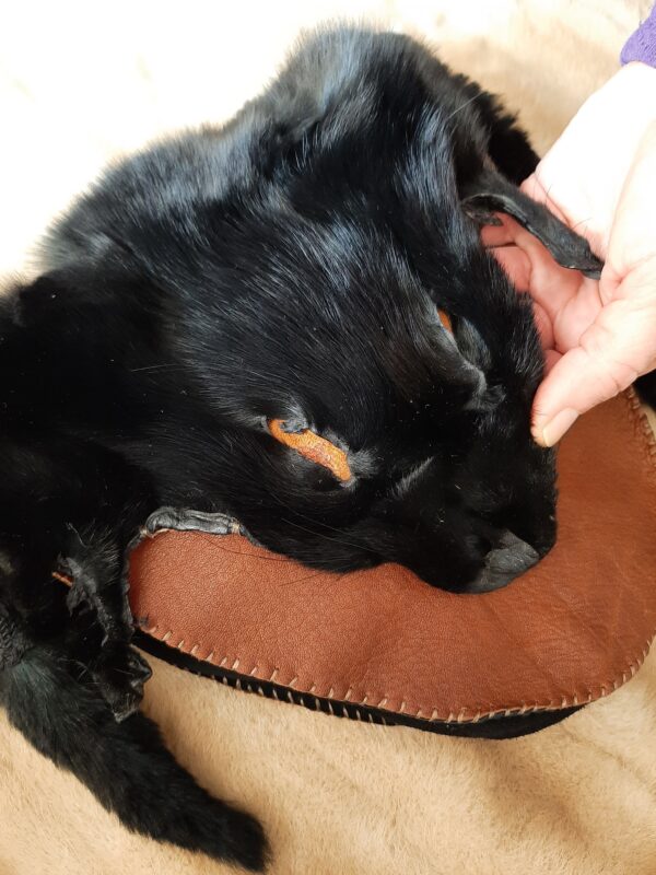 Black Arctic Fox Satchel with Rabbit Fur Strap